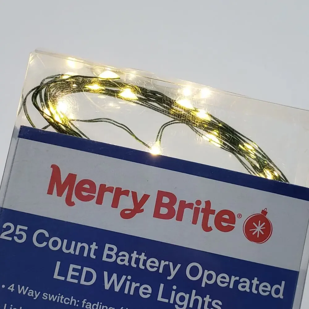 Merry Brite 25 ct Battery Operated Warm White LED Green Wire Fairy Lights 8 feet